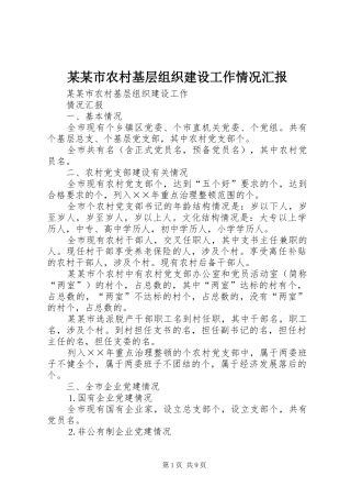 某某市农村基层组织建设工作情况汇报