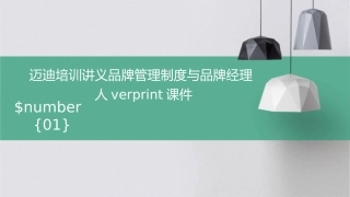 迈迪培训讲义品牌管理制度与品牌经理人verprint课件