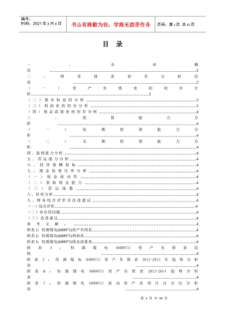煤电股份有限公司财务报表分析
