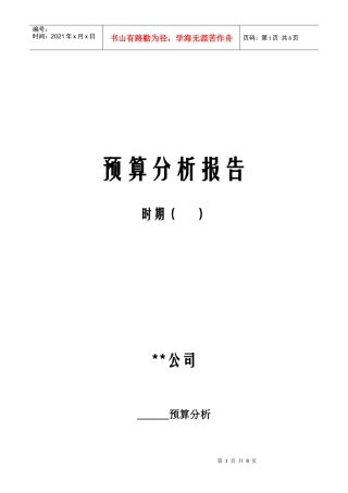 预算分析报告