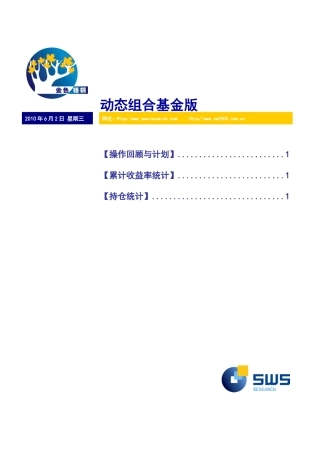 申银万国-投资组合建议基金版-100602