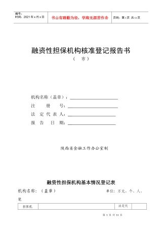 融资性担保机构核准登记报告书