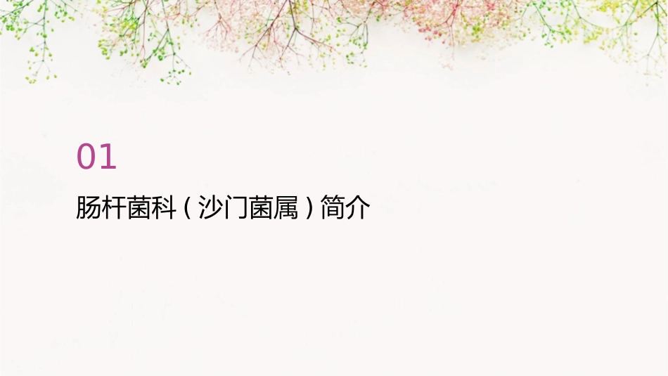 肠杆菌科(沙门菌属)课件_第3页