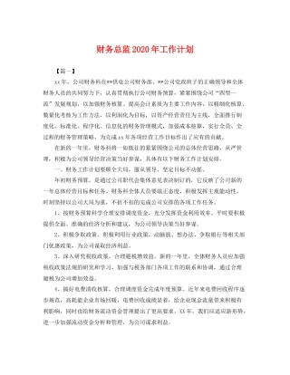 财务总监年工作计划 