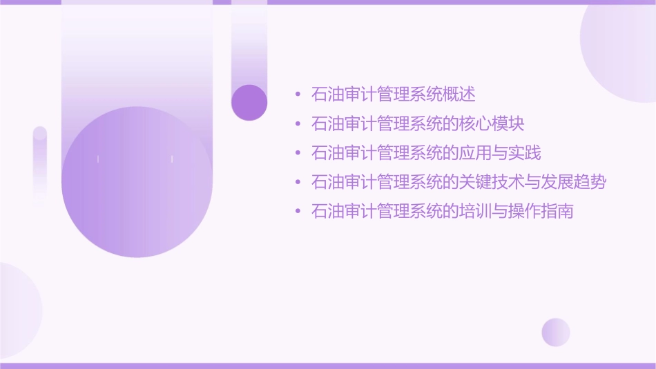 石油审计管理系统课件_第2页