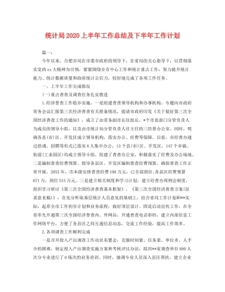 统计局上半年工作总结及下半年工作计划 