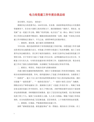 电力局党建工作年度自我总结 