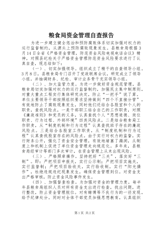 粮食局资金管理自查报告