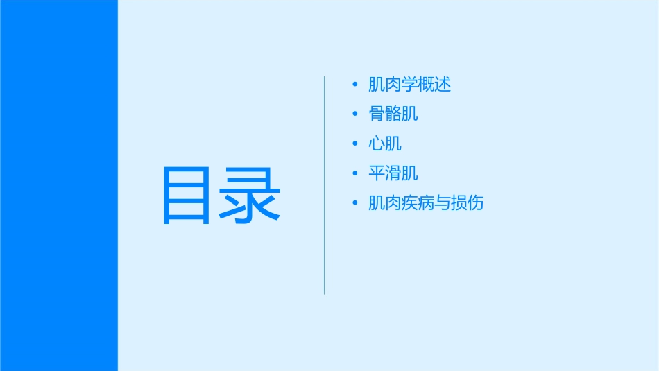 解剖学肌肉学课件_第2页