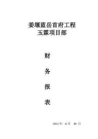 姜堰XXXX年财务报表6月份