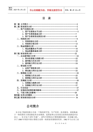 东方电子财务分析汇总表