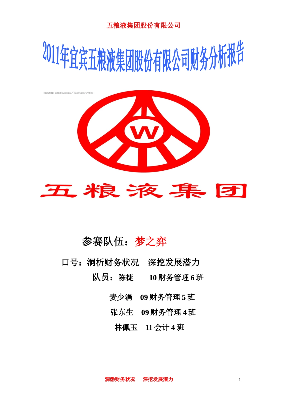 五粮液集团有限公司财务综合分析报告书_第1页