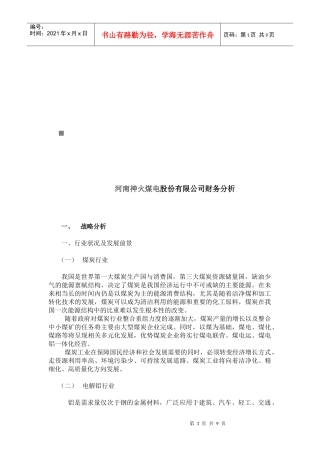 河南某公司财务分析