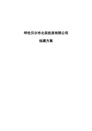 北辰投资公司改制组建方案