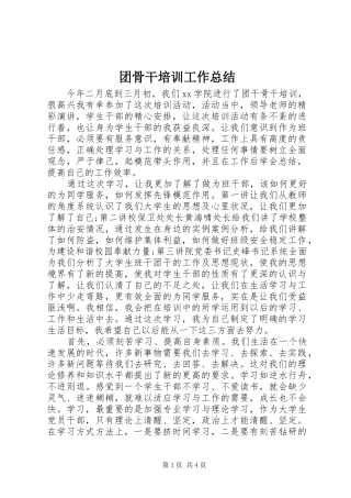 团骨干培训工作总结
