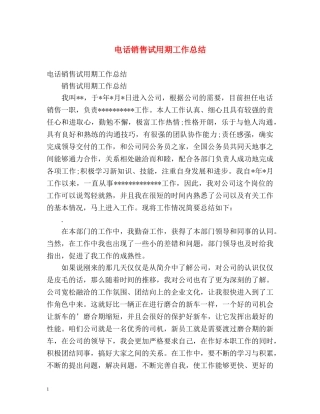 电话销售试用期工作总结 