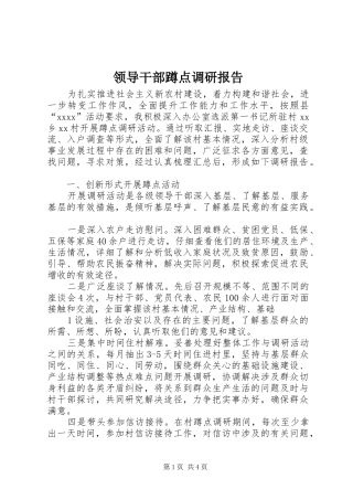 领导干部蹲点调研报告