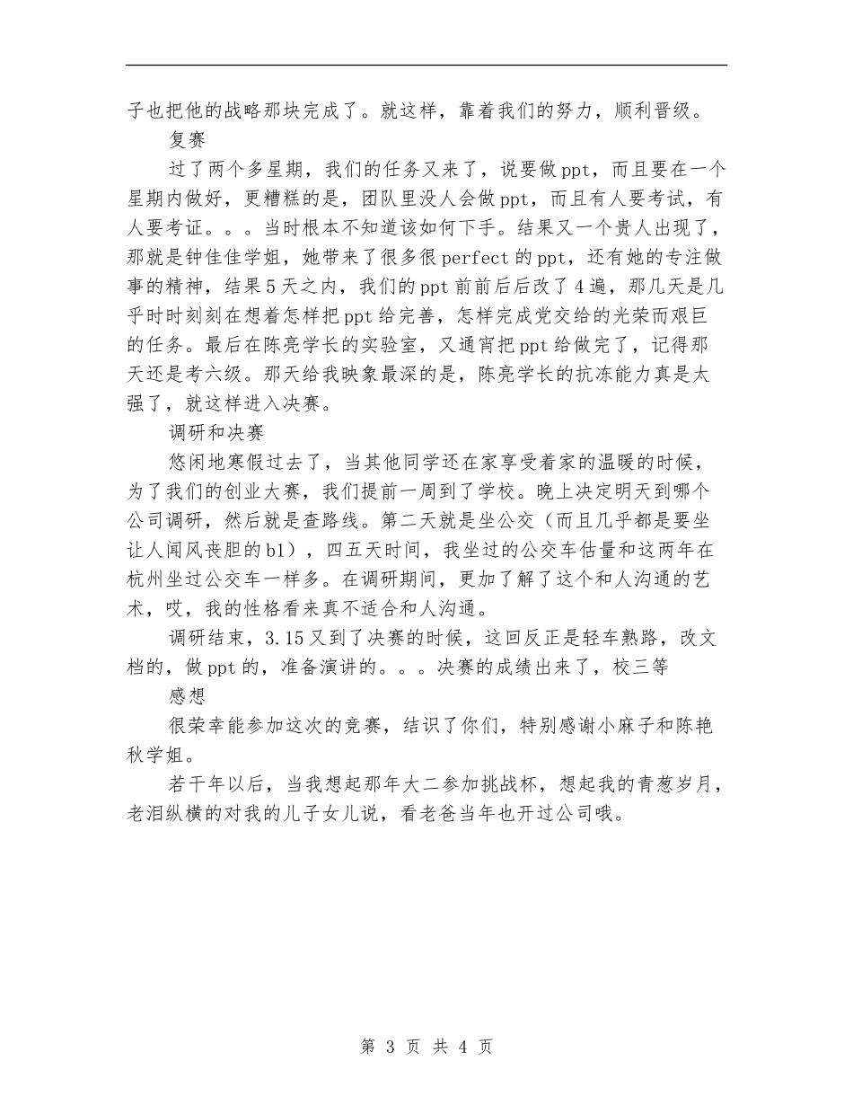 挑战杯创业大赛总结_第3页