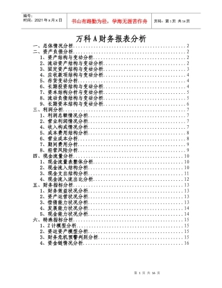 【精品文档】房地产（某地产）财务报表分析