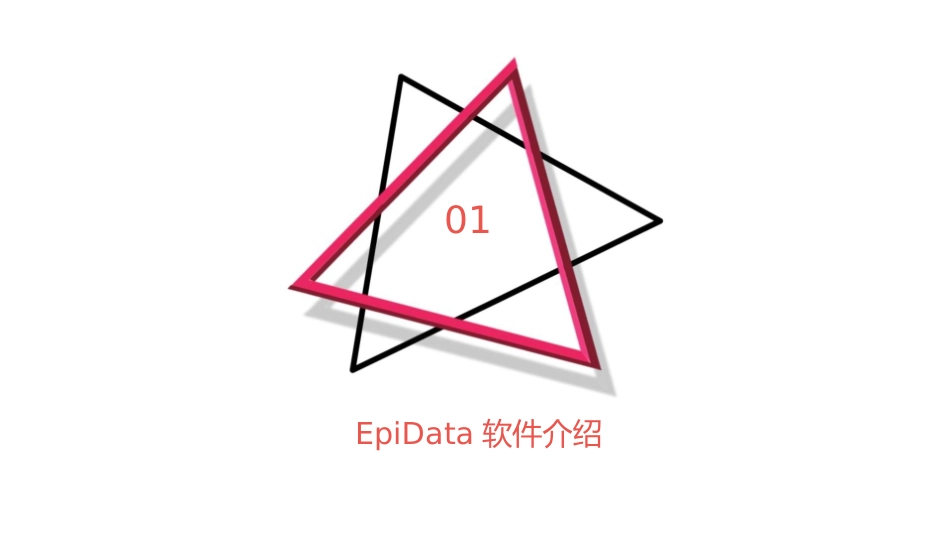用EpiData快速建立数据管理程序课件_第3页