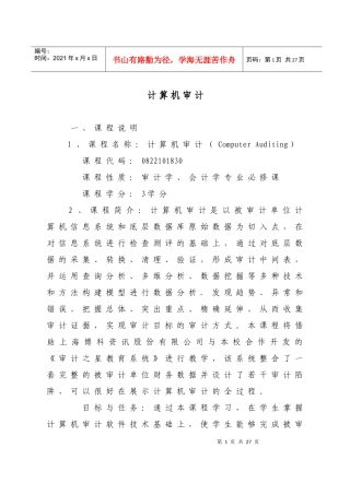 计算机审计大纲