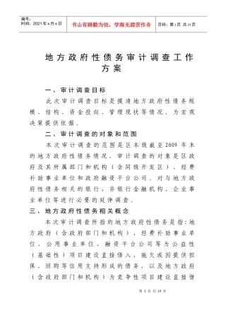 政府债务审计方案
