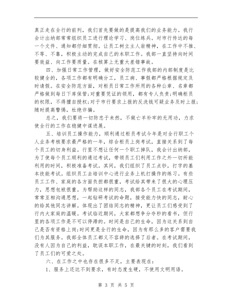 2024年度出纳员个人工作总结_第3页