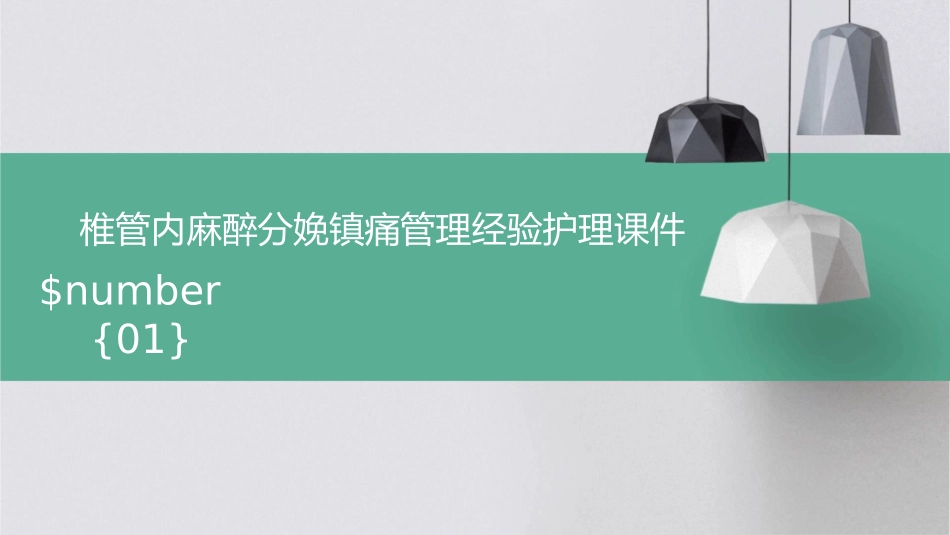 椎管内麻醉分娩镇痛管理经验护理课件_第1页