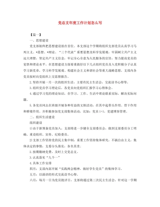党总支年度工作计划怎么写 
