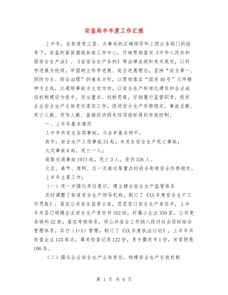 安监局半年度工作汇报