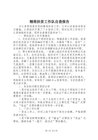 精准扶贫工作队自查报告