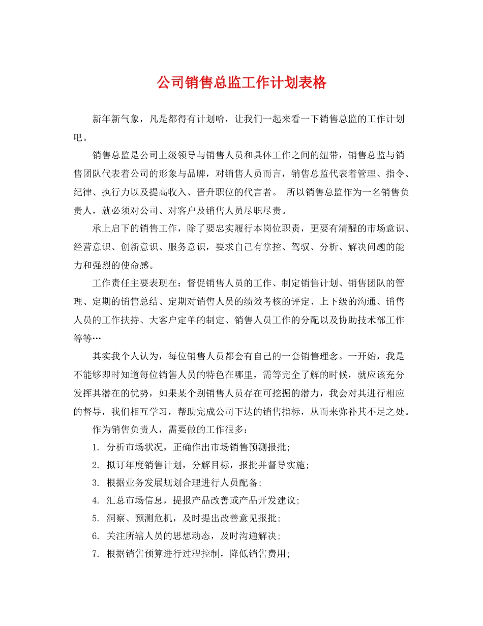 公司销售总监工作计划表格 _第1页
