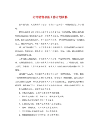 公司销售总监工作计划表格 