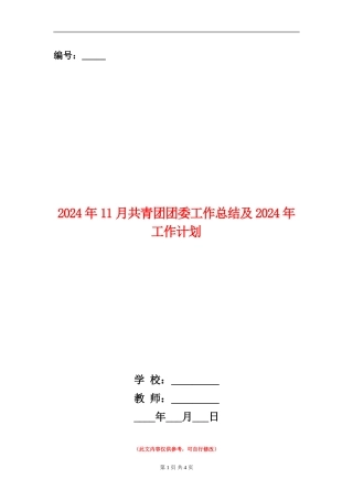 2024年11月共青团团委工作总结及2024年工作计划