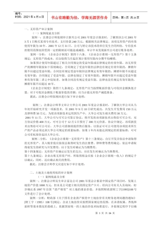 无形资产审计案例