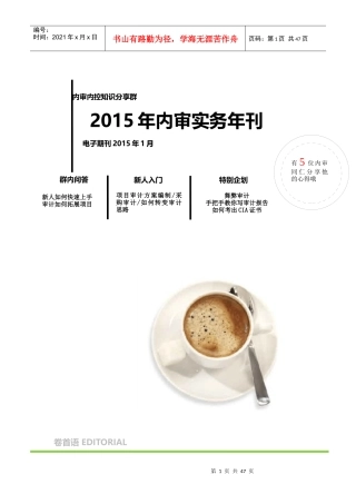 XXXX年内审实务年刊