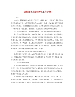 农村团支书年工作计划 