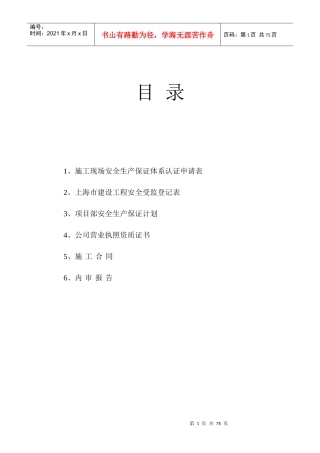 (安保体系)工程内审资
