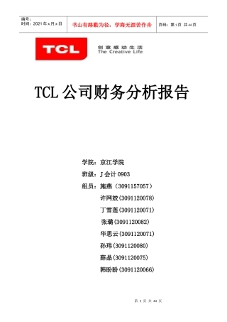 TCL公司财务分析报告(doc 38页)