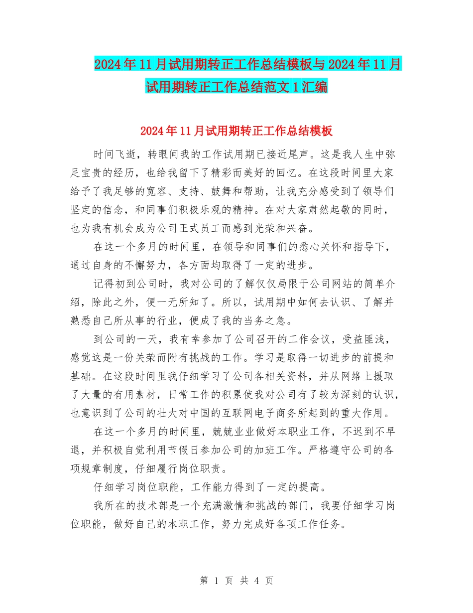 2024年11月试用期转正工作总结模板与2024年11月试用期转正工作总结范文1汇编_第1页