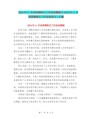2024年11月试用期转正工作总结模板与2024年11月试用期转正工作总结范文1汇编