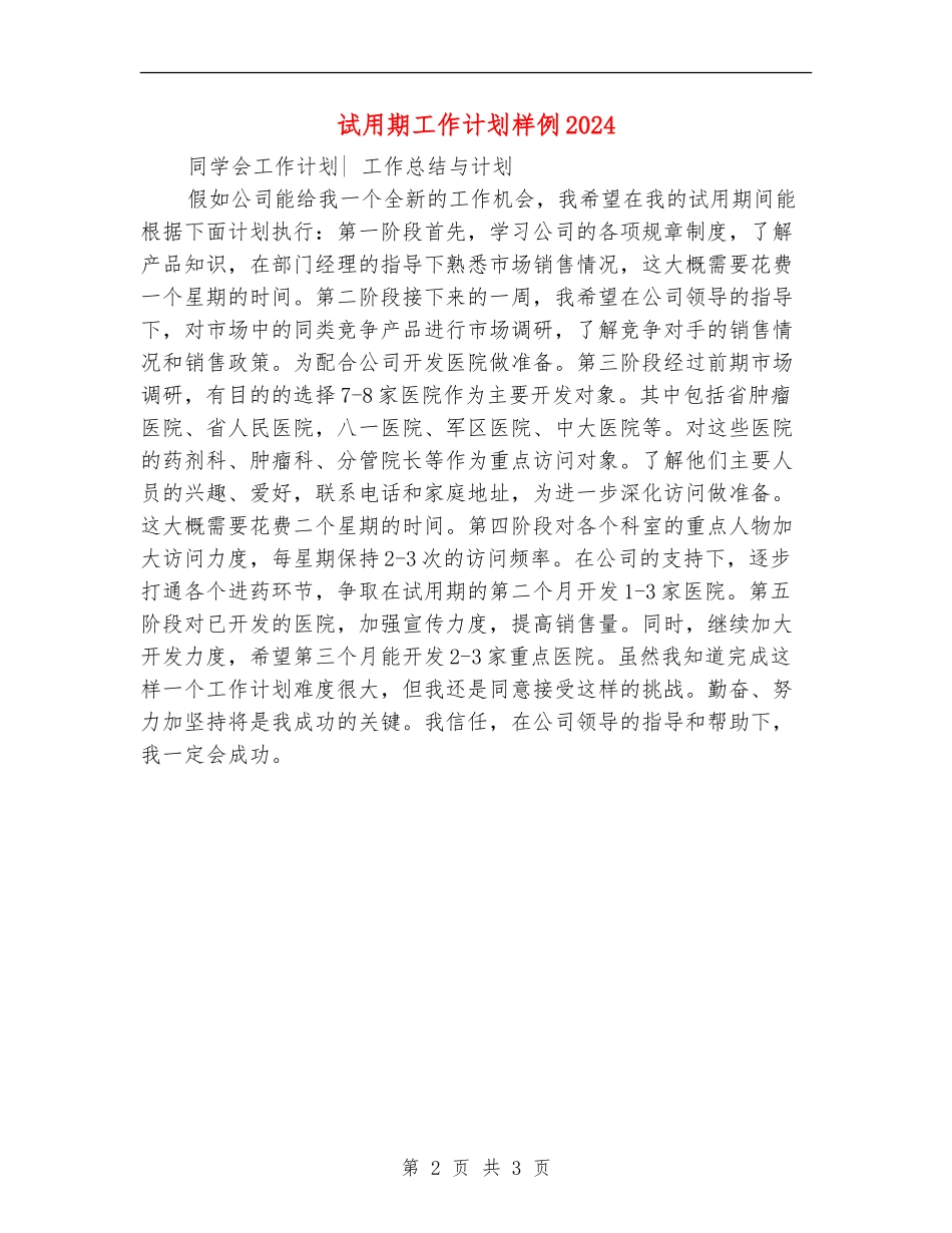试用期工作计划样例2024_第2页