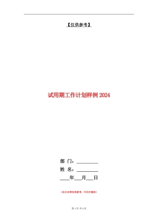 试用期工作计划样例2024