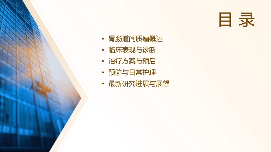 胃肠道间质瘤解读课件_第2页