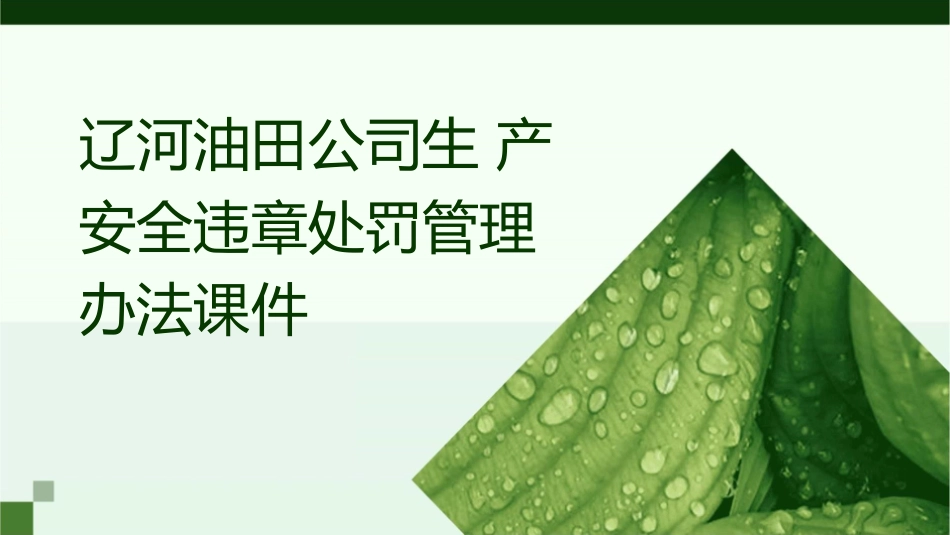 辽河油田公司生产安全违章处罚管理办法课件_第1页