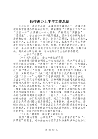 县排调办上半年工作总结