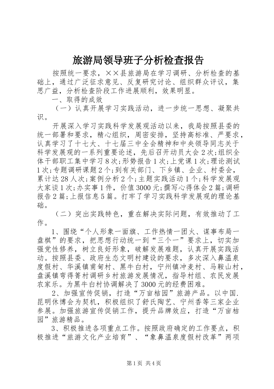 旅游局领导班子分析检查报告_第1页