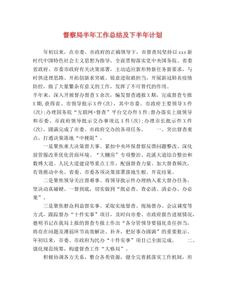 督察局半年工作总结及下半年计划 