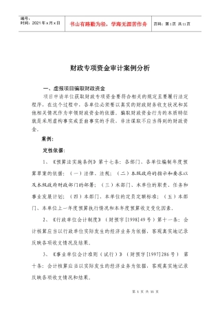 财政专项资金审计案例分析