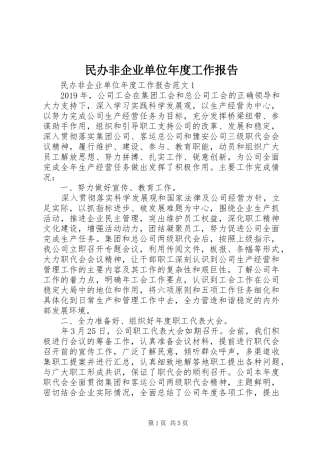 民办非企业单位年度工作报告